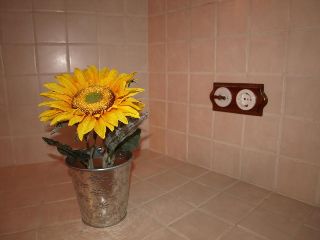 Apartamentos Rurales Camino Del Cid Castejón de las Armas Kamer foto